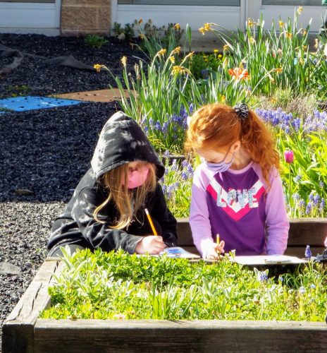 Garden delivers sense of calm to North Elementary students | News, Sports, Jobs - Vimarsana News